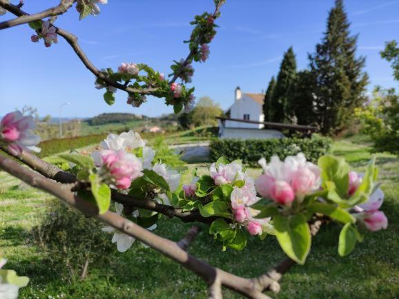 B&B Casa Soresina Offagna Ngoại thất bức ảnh