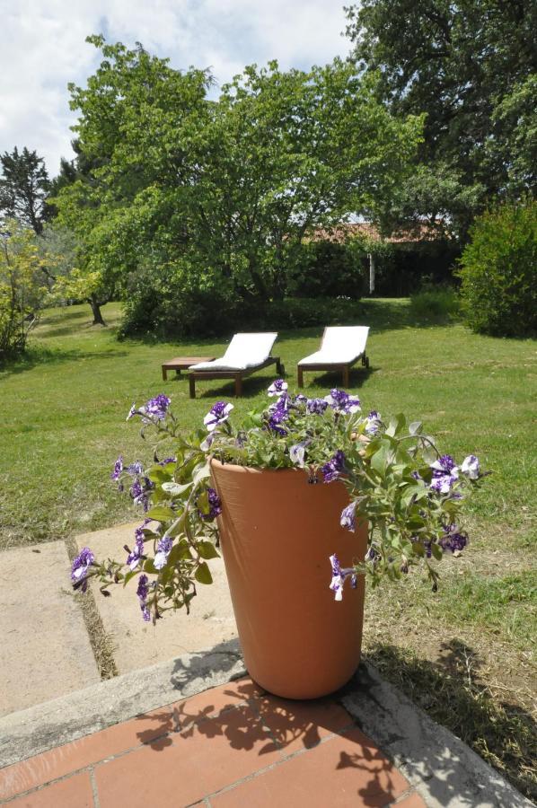B&B Casa Soresina Offagna Ngoại thất bức ảnh